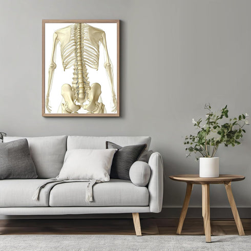 Posterizer 1 pcs-detailed anatomical illustration of the human spinal column 2-Teachers & Classrooms-Abstract & Modern Art-School and classroom ar...